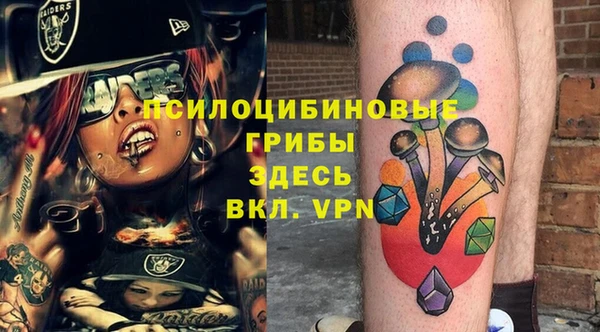 бошки Богданович