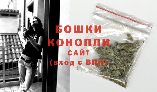гидра Богородск