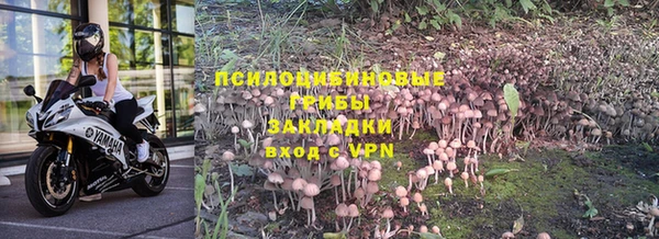 бошки Богданович