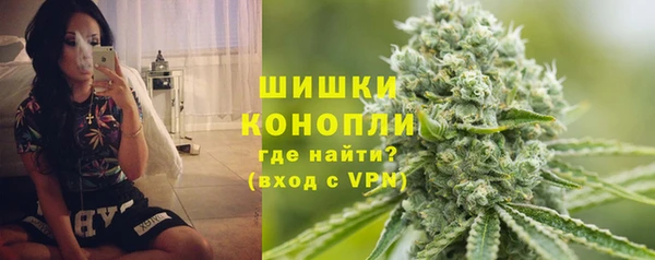 МДПВ Бородино