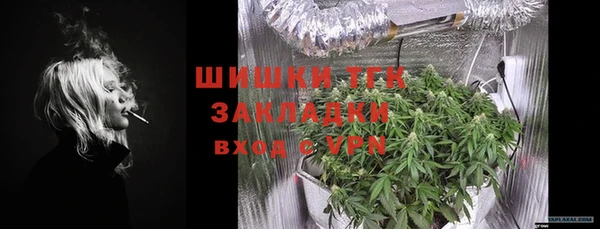 гидра Богородск